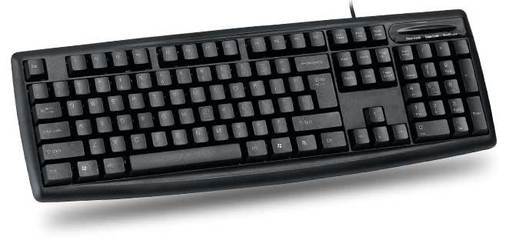 彩虹鳥鍵盤_網(wǎng)上逛街_遂川網(wǎng)